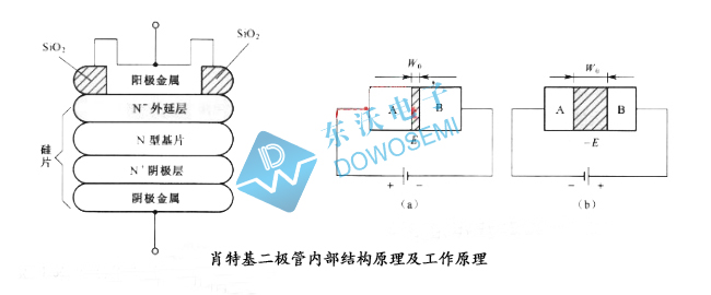 肖特基二極管工作原理東沃.jpg